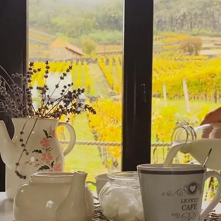 Csipke Somló Somlóvásárhely