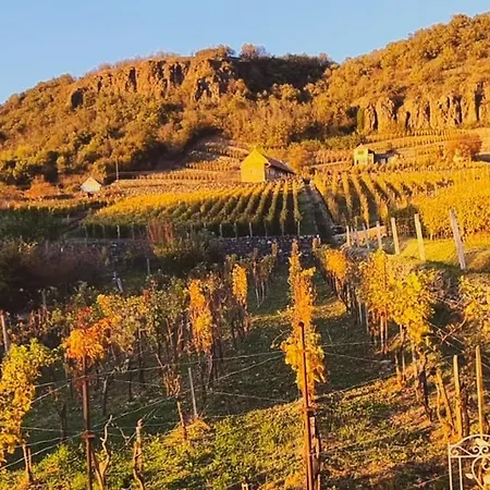 Csipke Somló Somlóvásárhely