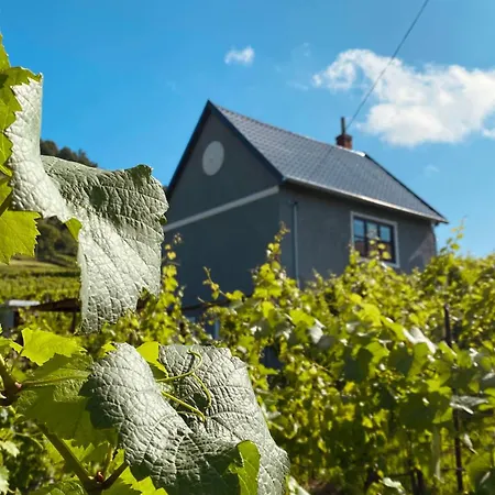 Csipke Somló * Somlóvásárhely