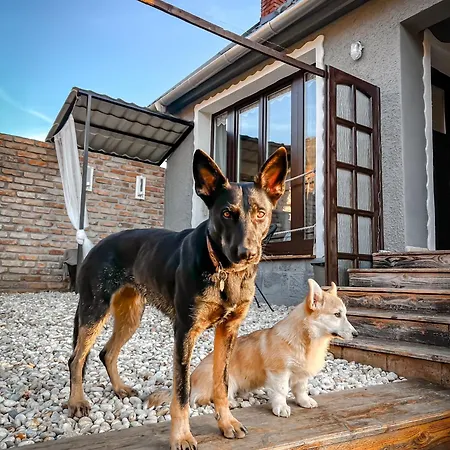 Nyaraló Csipke Somló *