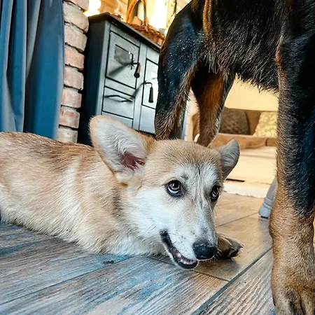 Nyaraló Csipke Somló Somlóvásárhely