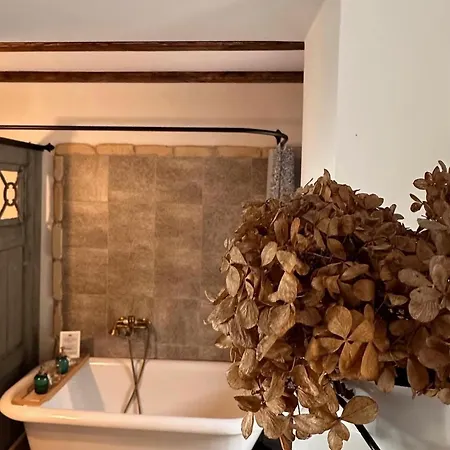 Nyaraló Csipke Somló