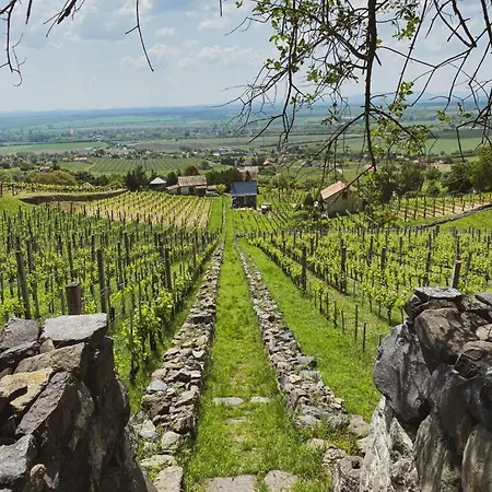 Nyaraló Csipke Somló