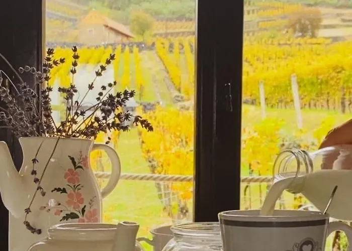 Csipke Somlo Vendeghaz Somlóvásárhely