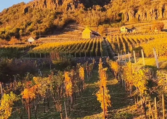 Csipke Somlo Vendeghaz Somlóvásárhely