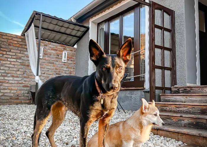 別荘 Csipke Somlo Vendeghaz *