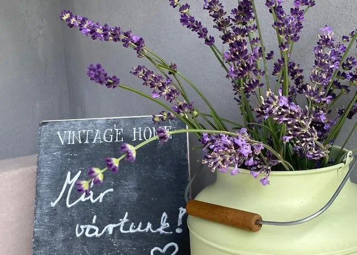 Csipke Somlo Vendeghaz