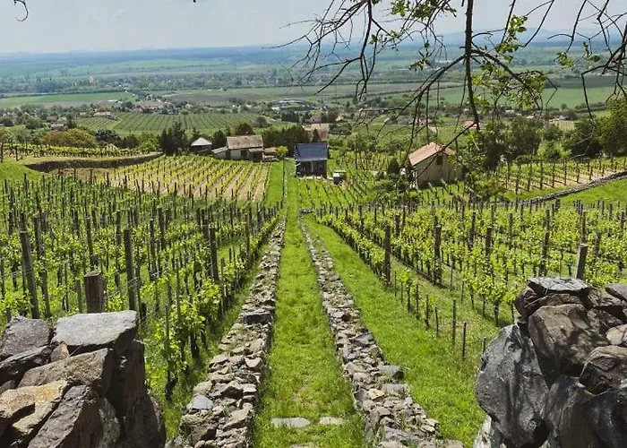 Case de vacanță Csipke Somlo Vendeghaz